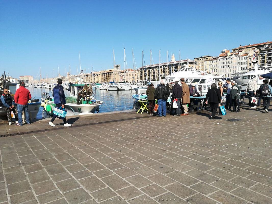 007- Marseille Vieux-Port.jpg - bst